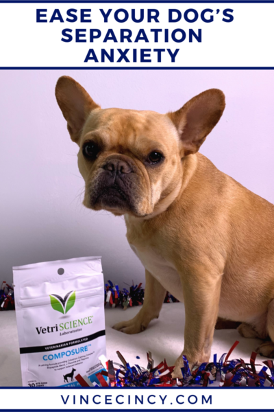 Reduce Your Dog’s Anxiety with VetriScience Composure