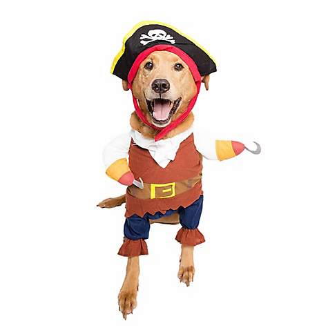 pirate dog costume by pet krewe